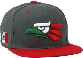 Mexican Mexico Hat Hecho En Mexico Eagle Aguila Embroidered Adjustable Snapback Flat Bill Baseball Cap